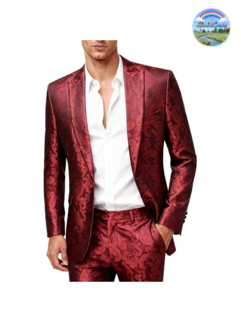 Mens 2 Piece Paisley Dress Suit One Button Notched Lapel Blazer Pants Set